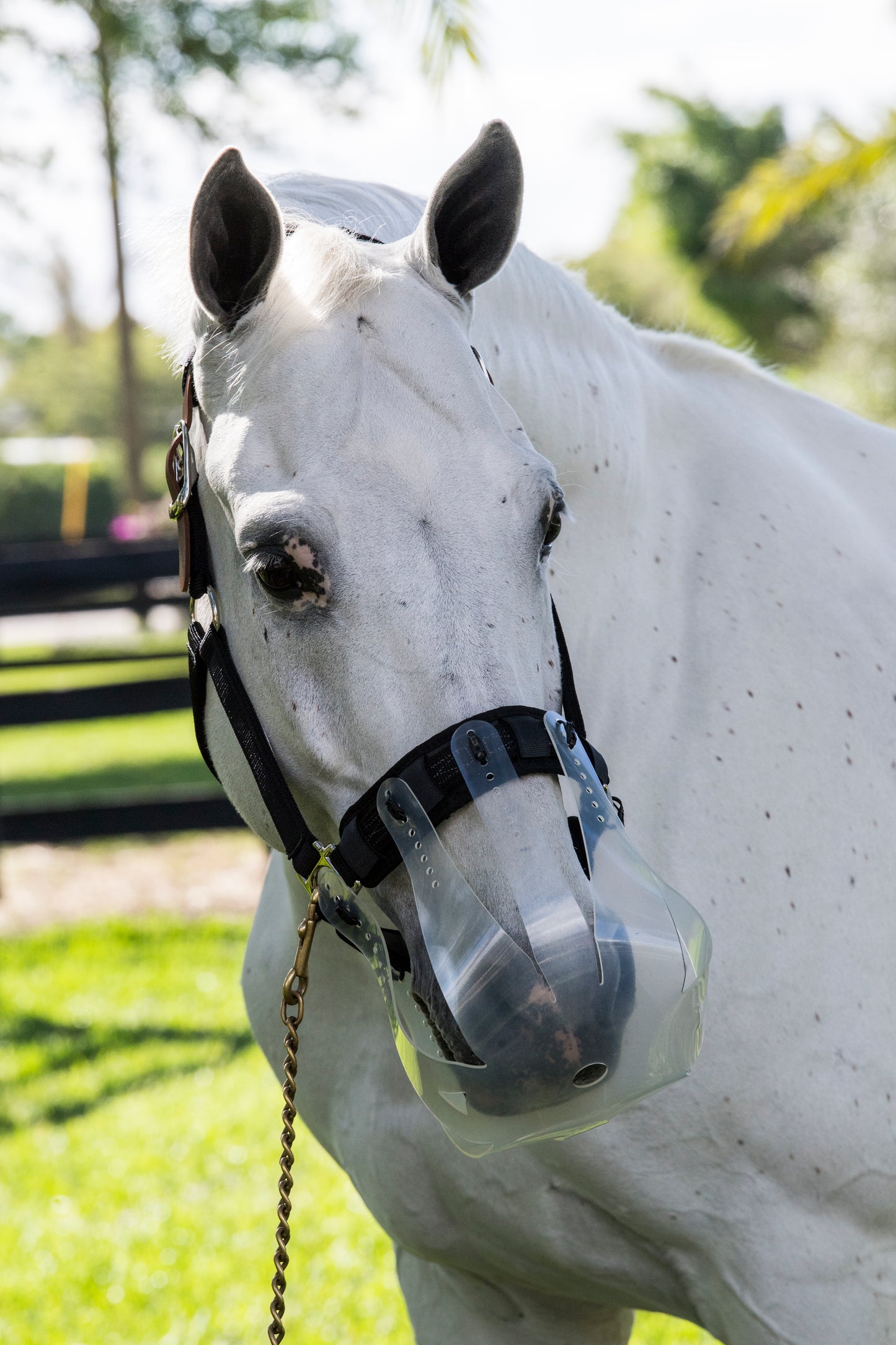 Thinline Breakaway Halster – Veilig, comfortabel en perfect afgestemd op het graasmasker