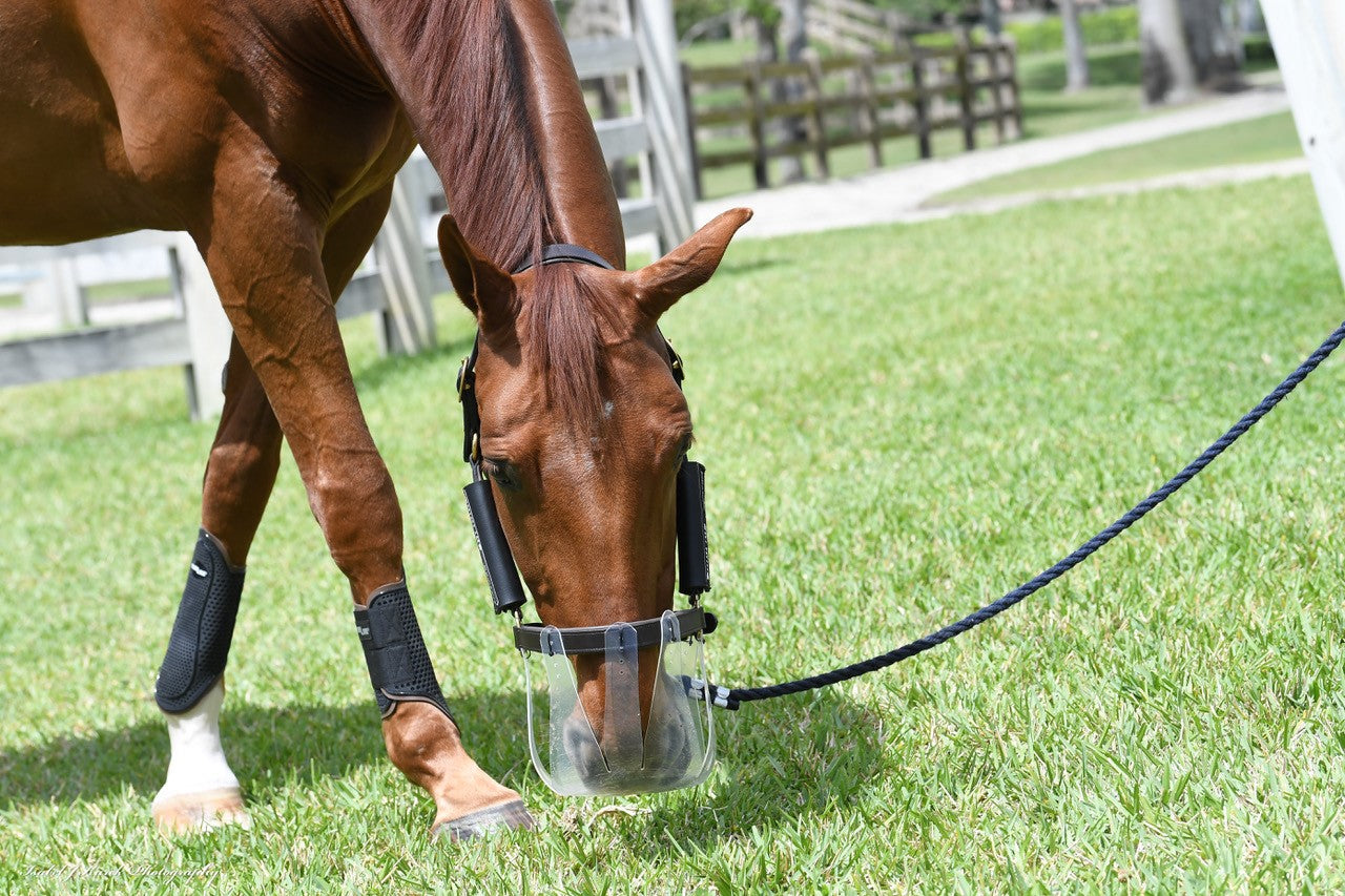 Weidekit Compleet – Graasmasker + Breakaway Halster + Vliegenmasker