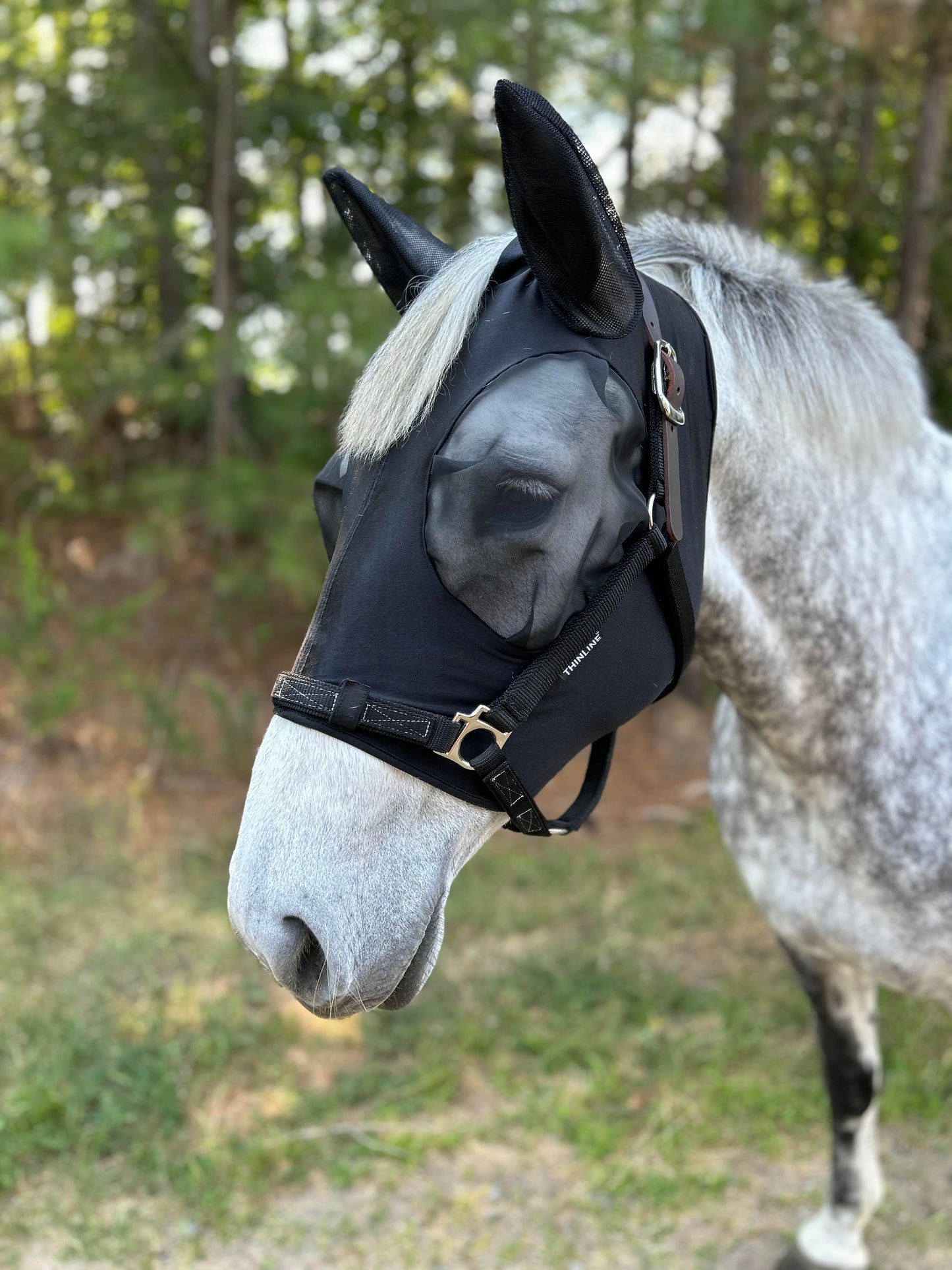 Weidekit Compleet – Graasmasker + Breakaway Halster + Vliegenmasker