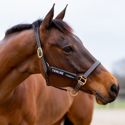 Thinline Bakstuk Beschermer – Comfort op de gevoelige plekken